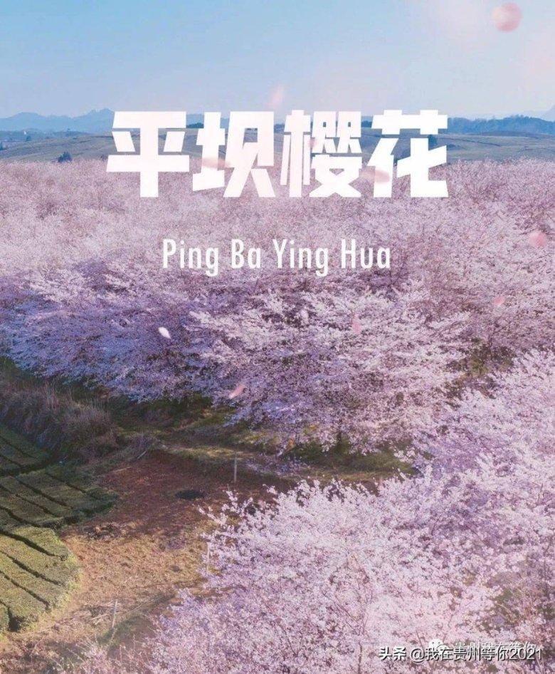 逃离沙地